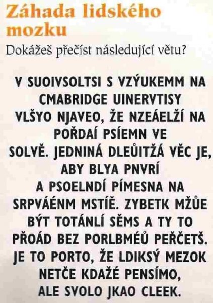 zahada-mozku.jpg